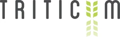 Triticum